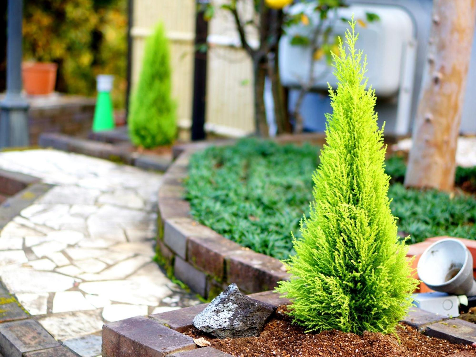 We Home Villa - Jogasaki Onsen - - Vacation Stay 13634V 伊東市 エクステリア 写真